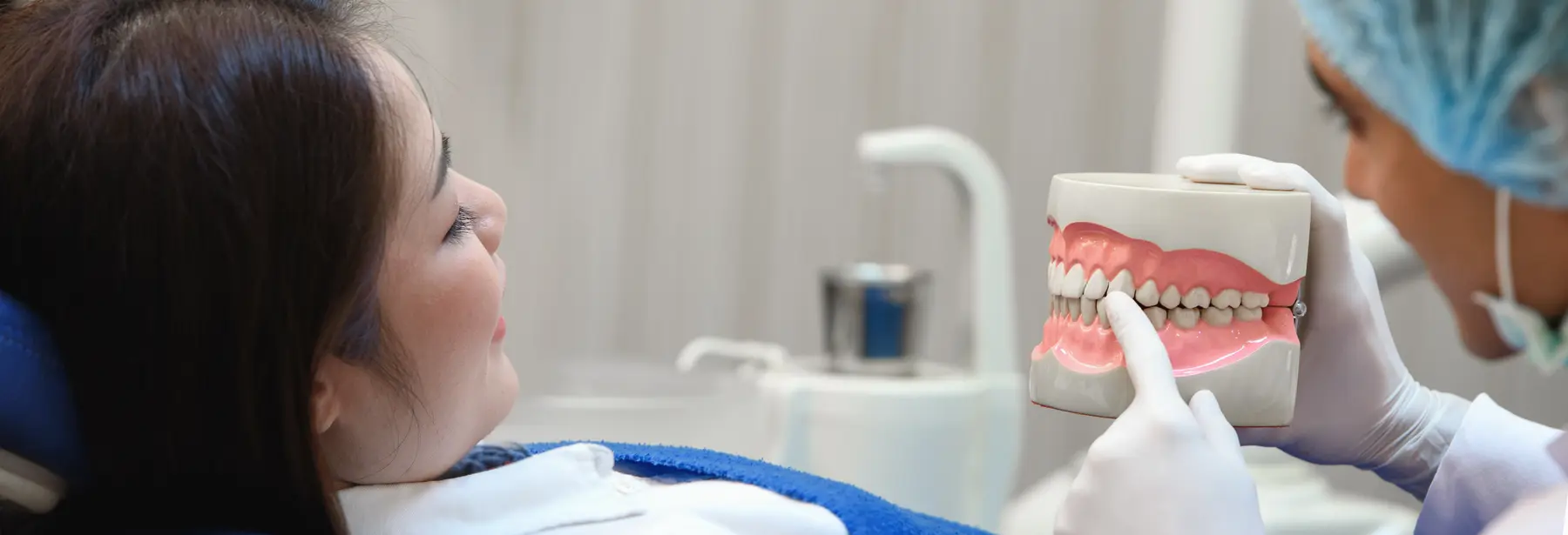 Dentist explaining a dental model to a patient