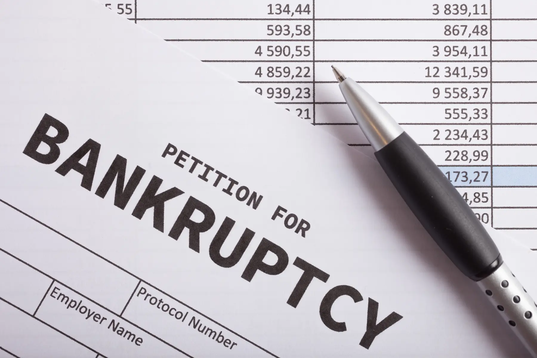 Bankruptcy petition and financial records
