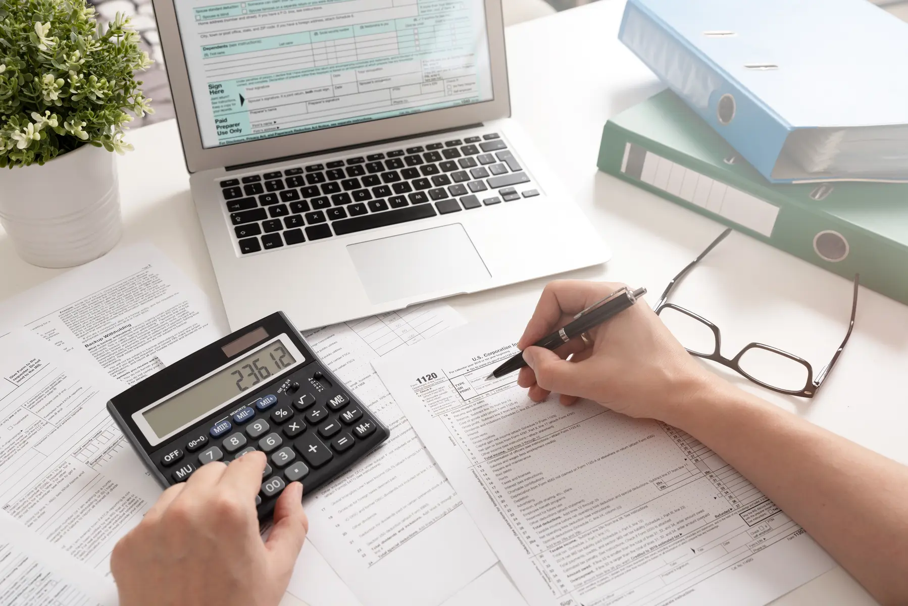 Professional preparing federal tax forms