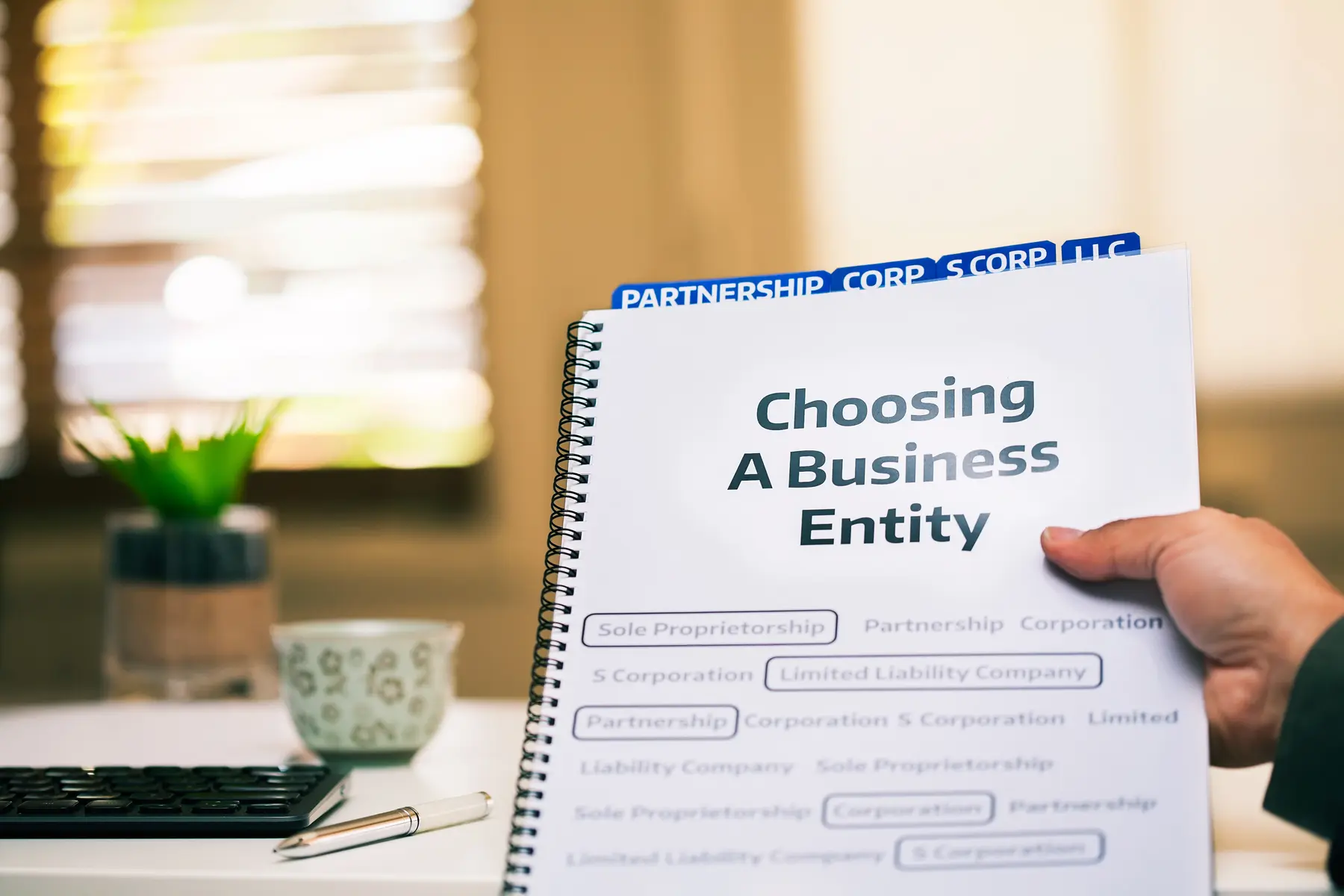 Guide to choosing a business entity